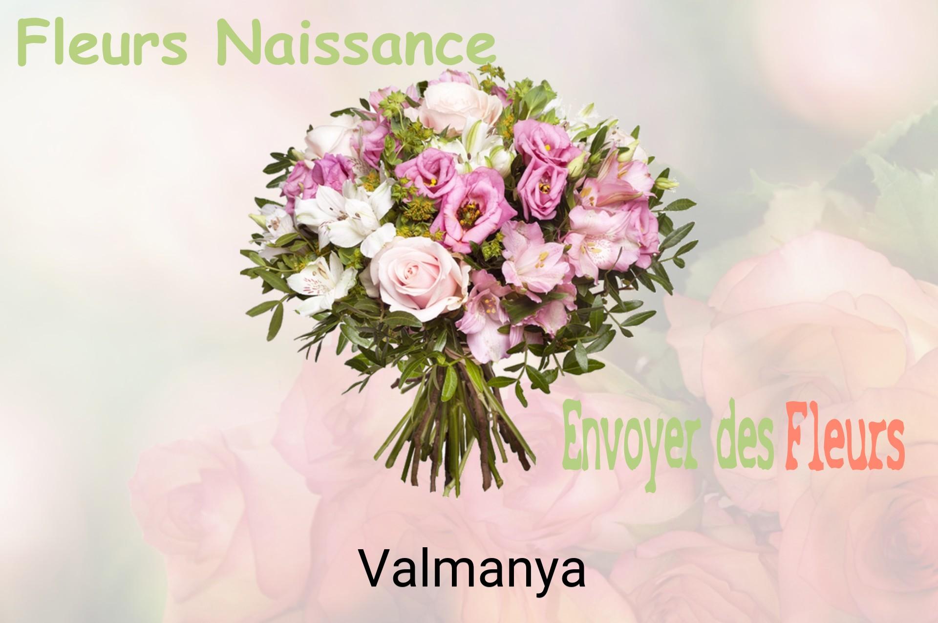 Bouquet de fleurs de naissance livré à Valmanya